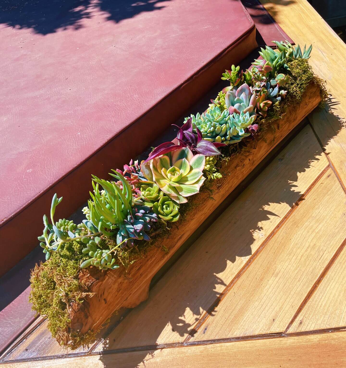 Rustic Natural Wood Trough Planter – Large Driftwood Log Succulent Holder