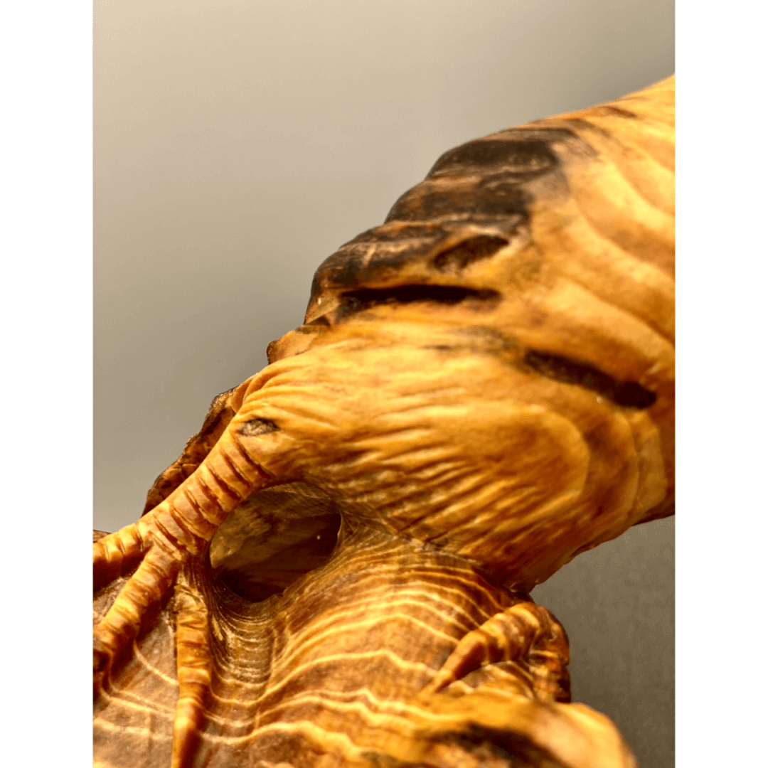 Hand-Carved Erosion Wood Bird Sculpture