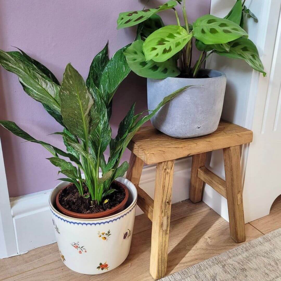 Handcrafted Reclaimed Elm Old Barn Milking Stool