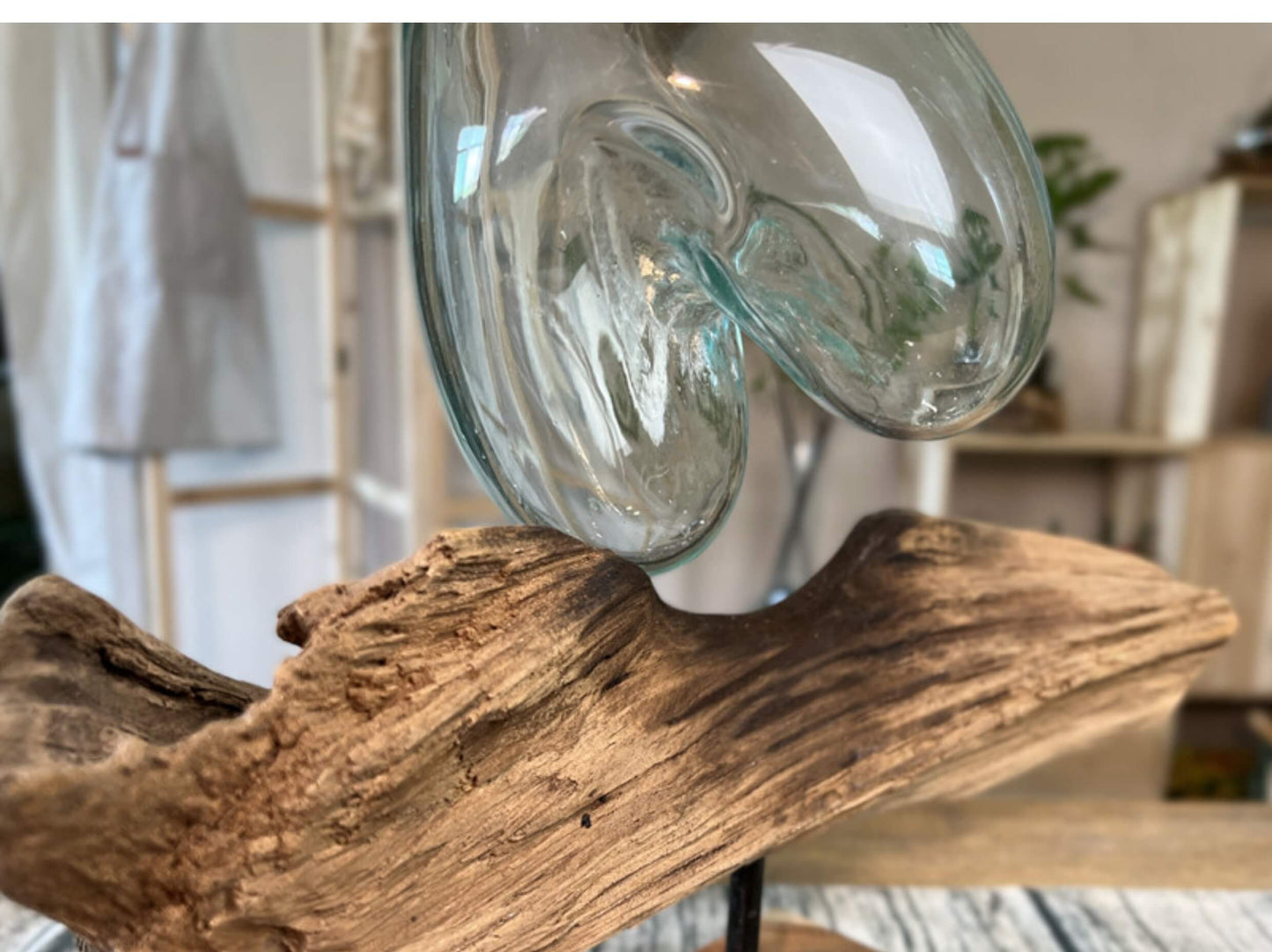 Molten Glass on Driftwood – Hand Blown Recycled Glass Terrarium & Succulent Planter