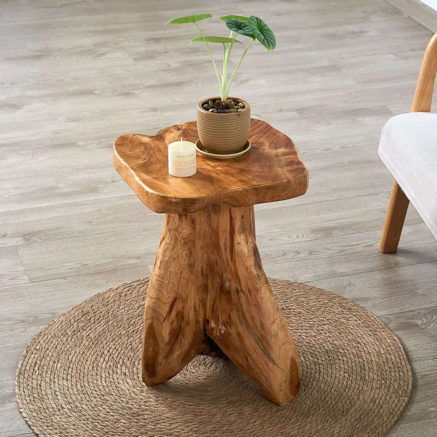 Natural Cedar Roots Plant Stand Tree Stump End Table
