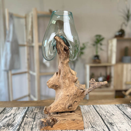 Molten Glass on Driftwood – Hand Blown Recycled Glass Terrarium & Succulent Planter
