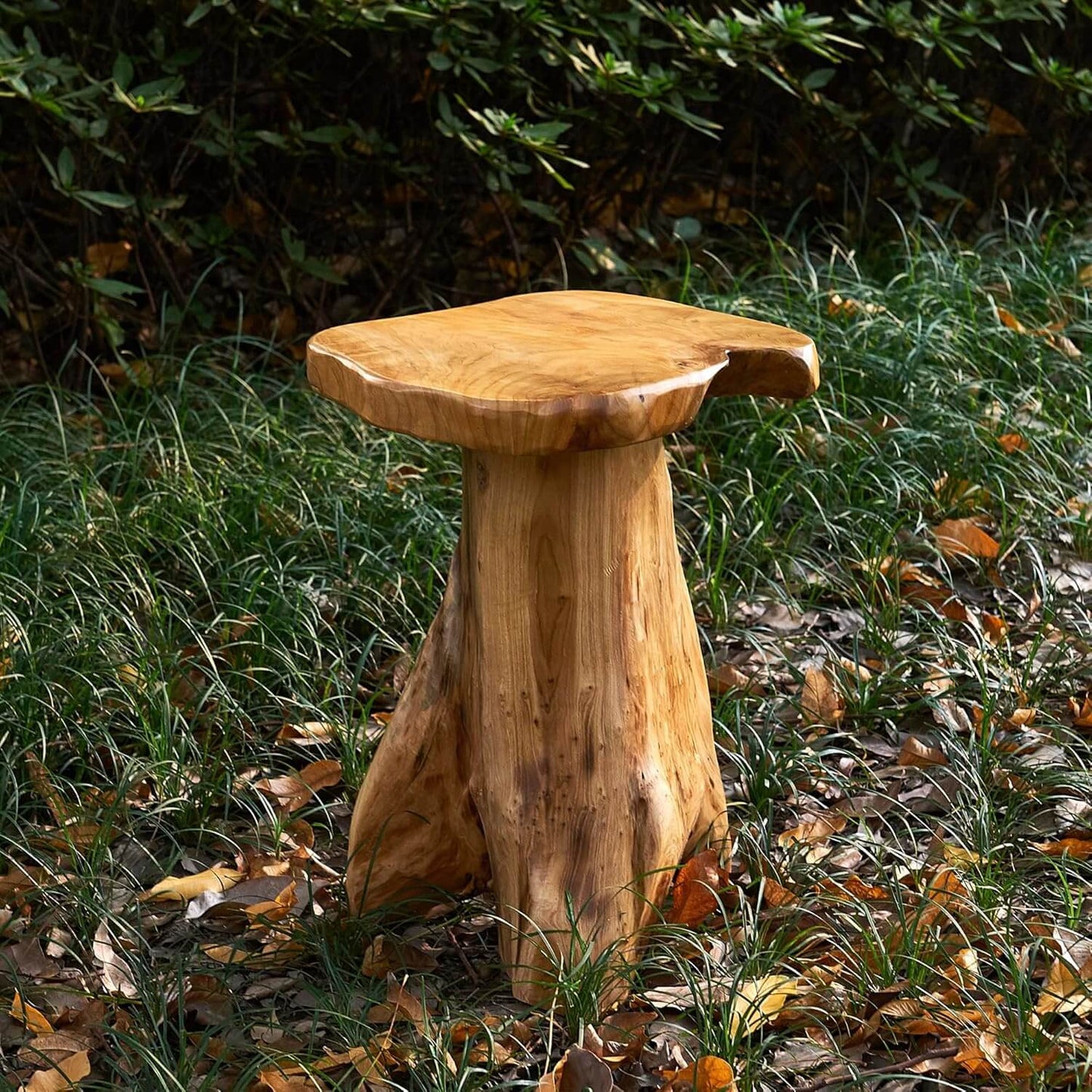 Natural Cedar Roots Plant Stand Tree Stump End Table