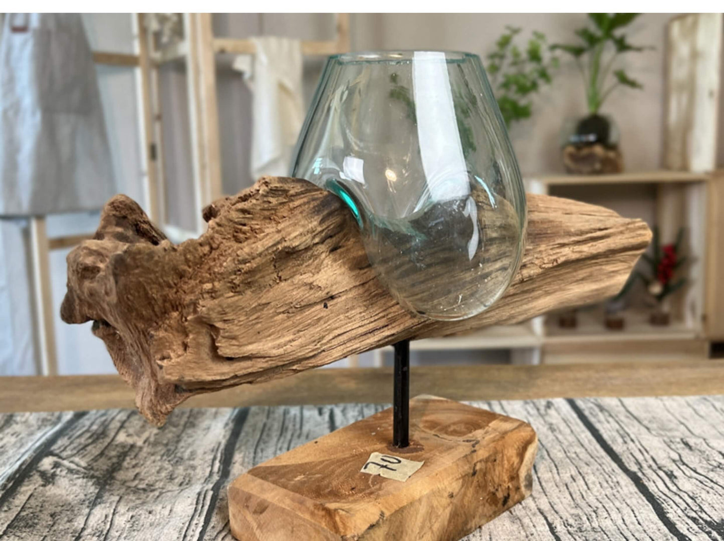 Molten Glass on Driftwood – Hand Blown Recycled Glass Terrarium & Succulent Planter